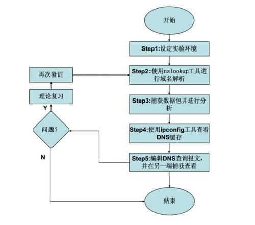 DNS域名服務協(xié)議實驗在計算機網(wǎng)絡技術教學中的實踐與探索