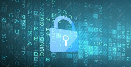 夜大計(jì)算機(jī)類(lèi)專(zhuān)業(yè)深度解析 以計(jì)算機(jī)網(wǎng)絡(luò)技術(shù)為例，探尋其價(jià)值與學(xué)制